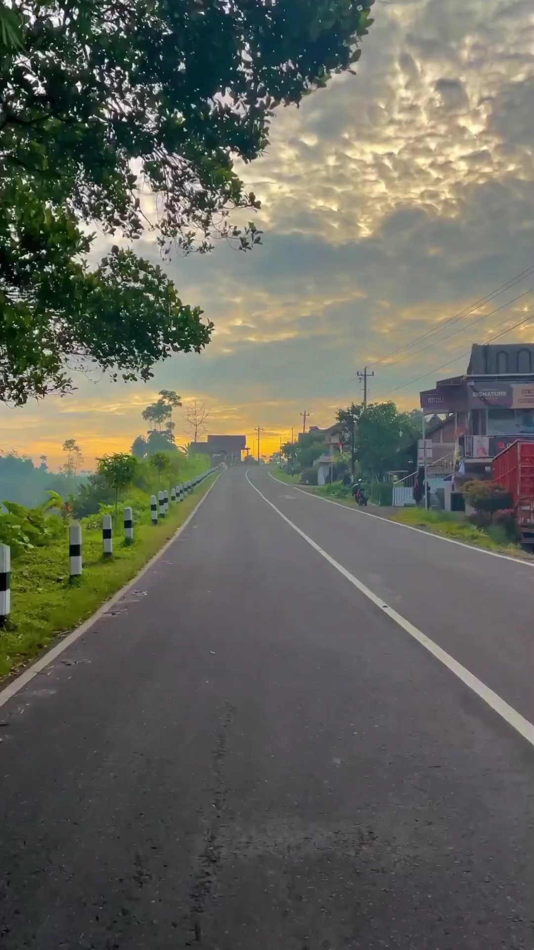 Cinematic Aesthetic