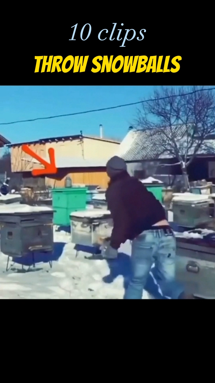 snowballs meme