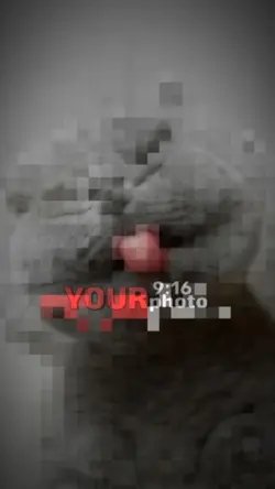 yg salin link semoga