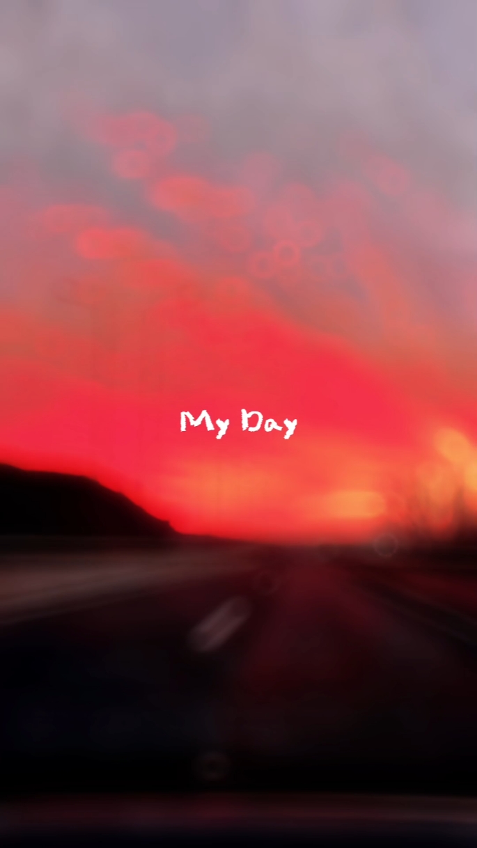 Meu dia