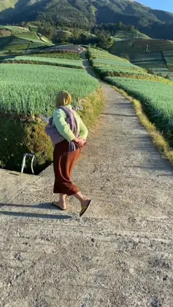 vlog