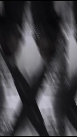 Mẫu 10 ảnh