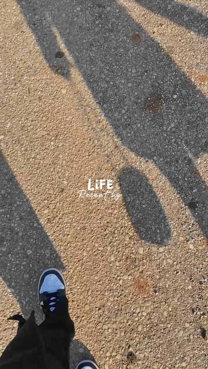 Vlog Mini