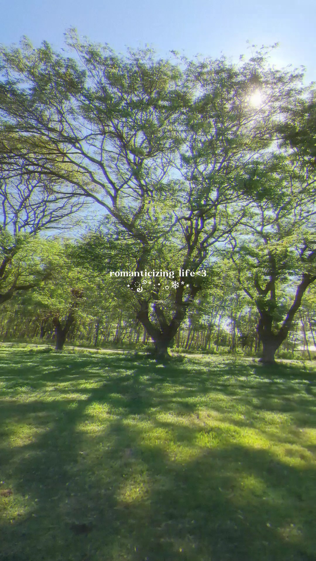soft dreamy filter