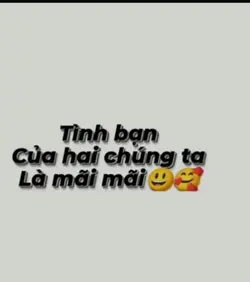 tình bạn của chúng
