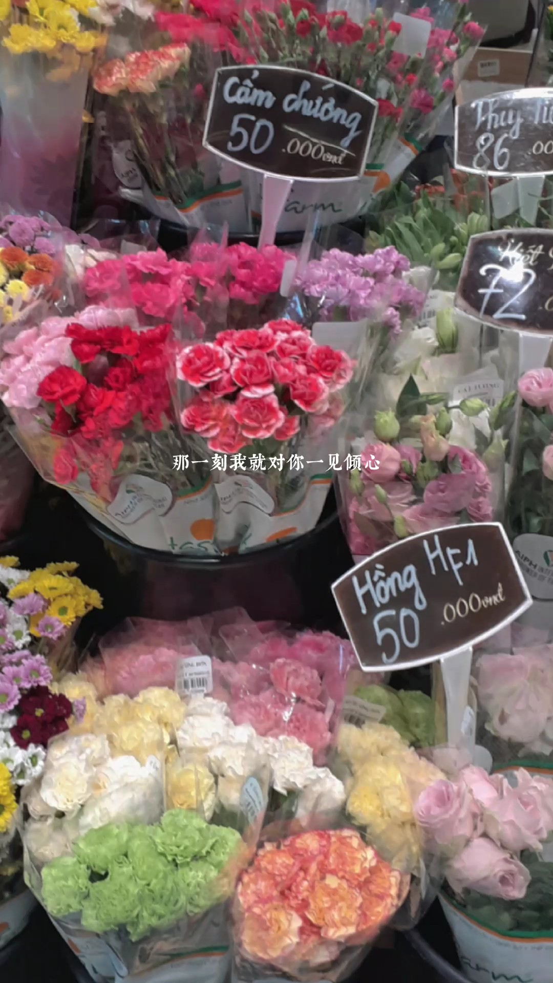 nhiều ảnh + bersantai