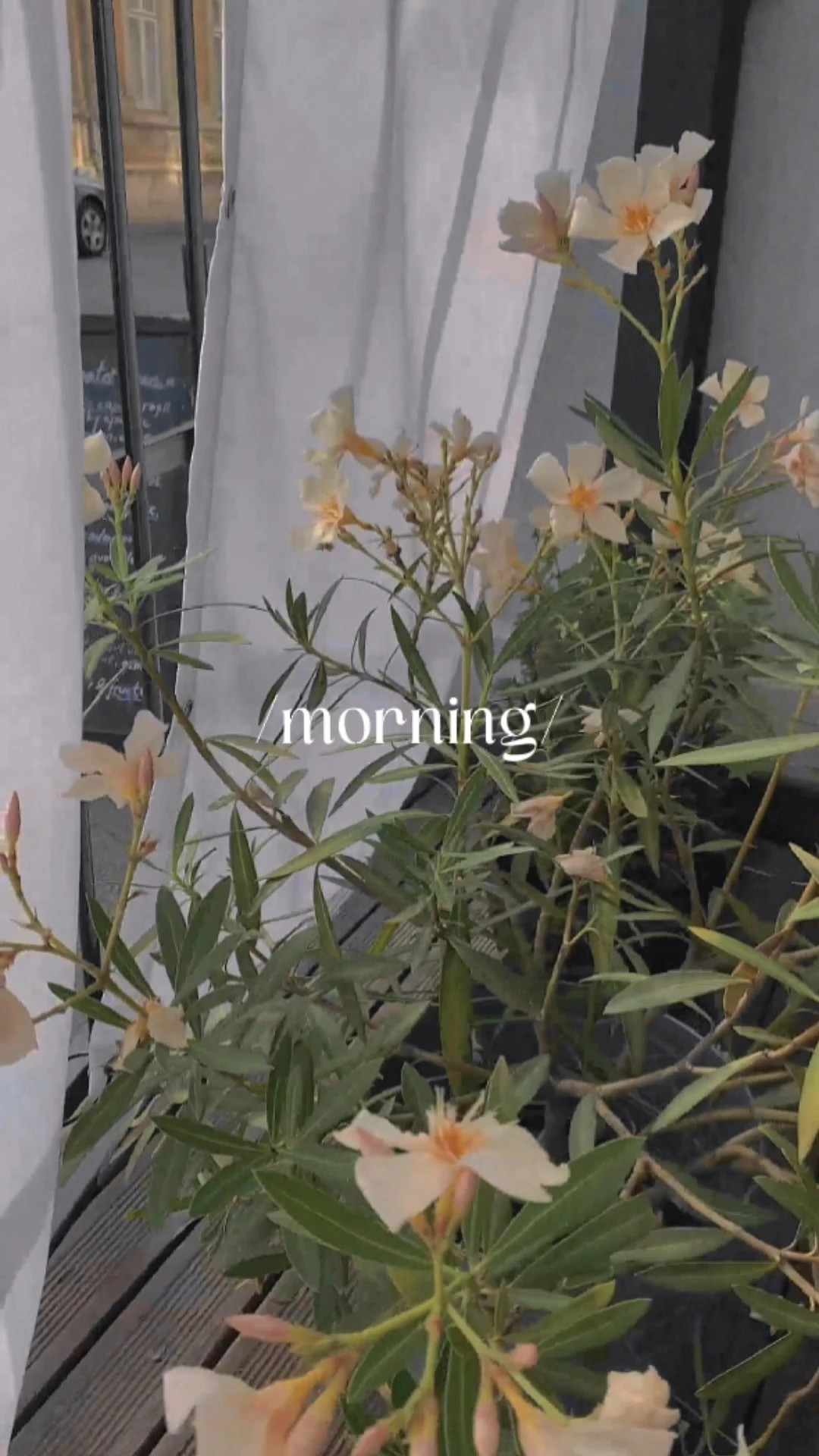 Vlog matinal