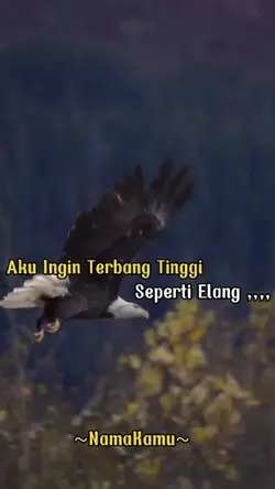 Lirik Lagu
