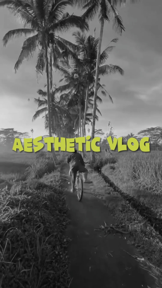vlog esthétique