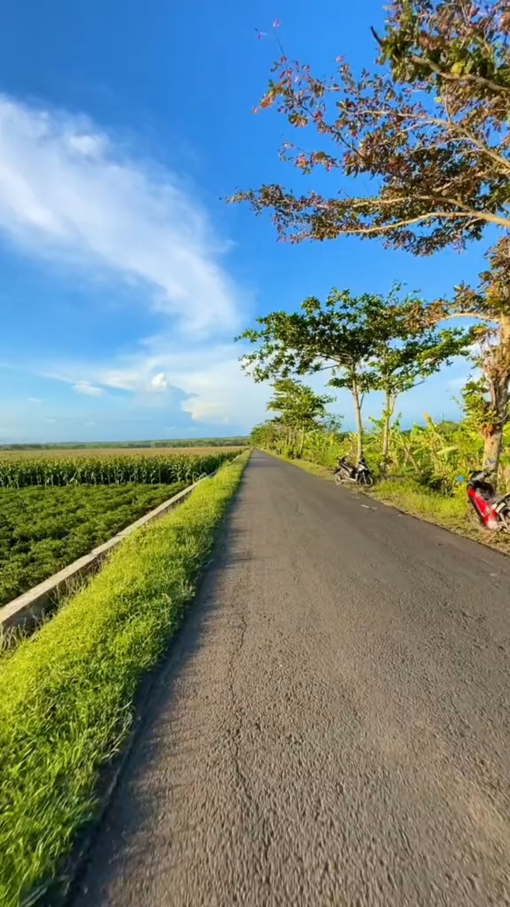 Senin ceria nih