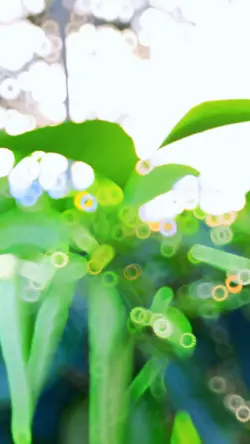 🍃