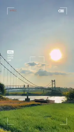Nhạc chill