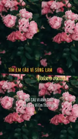 TÌM EM...