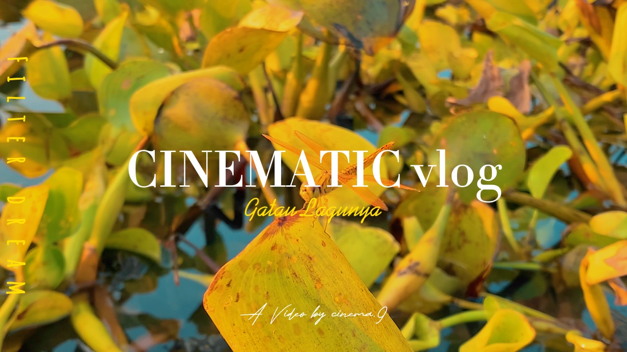 Vlog cinématographique