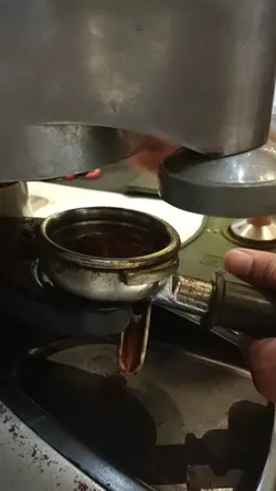 barista