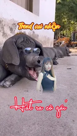 Trend vui nhộn