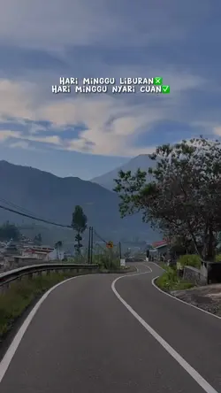 Minggu cuan