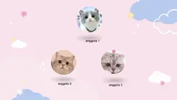 Opening video