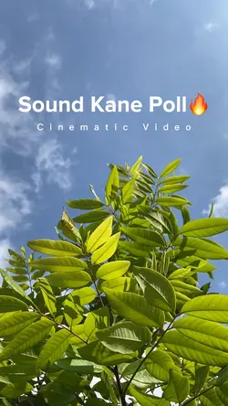 Sound Aesthetic