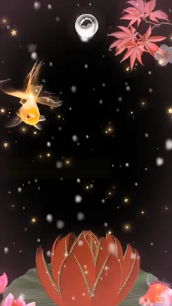 bingkai fhoto
