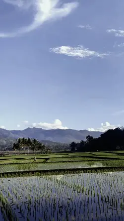 slowmotion