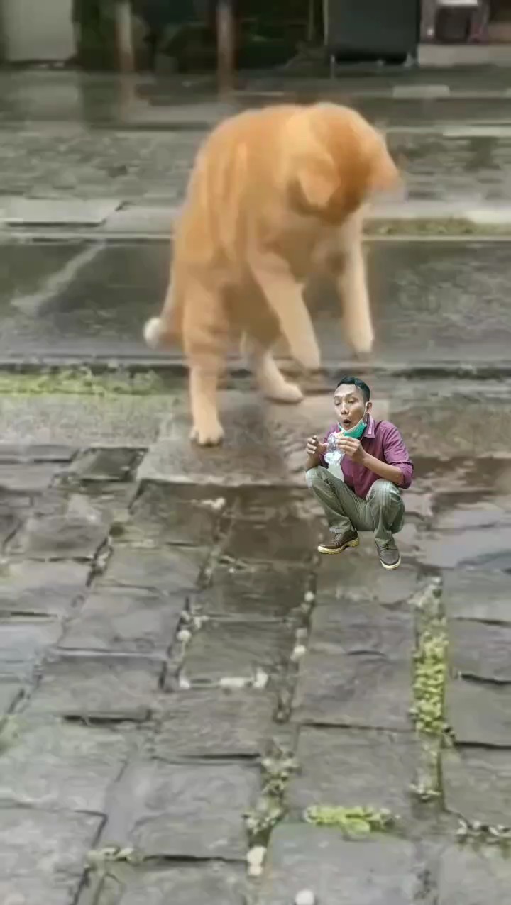 Menggunakan ucingan