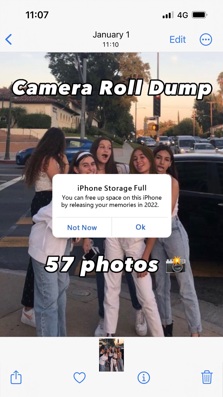 Camera Roll Dump