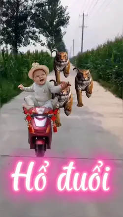 Hổ đuổi