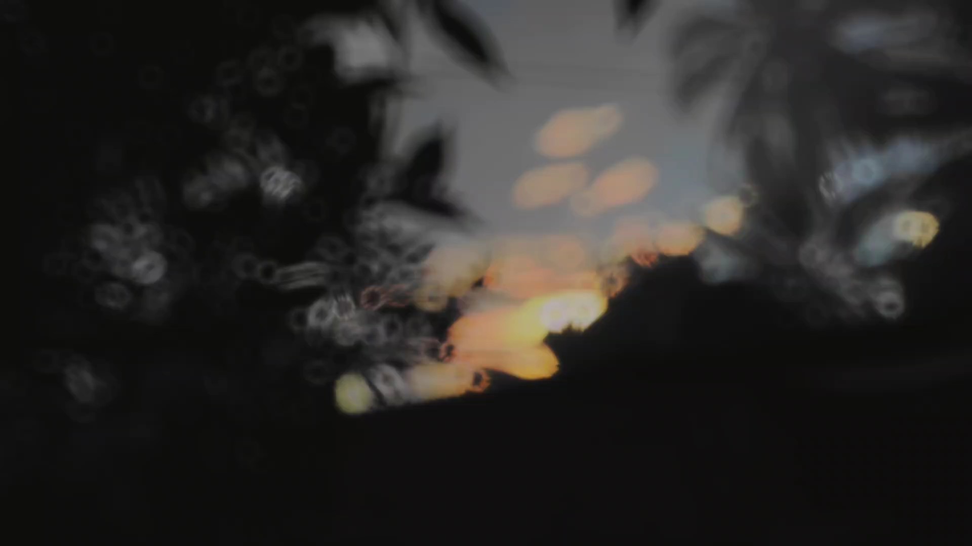 cinematic alam