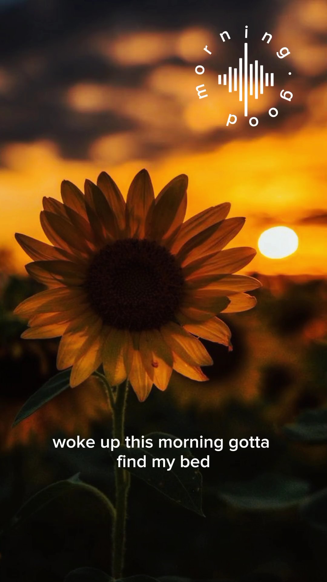 Buenos días