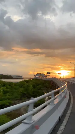 Vlog