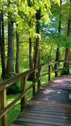 nature
