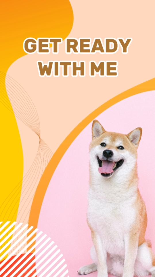 여기 애완동물 사료