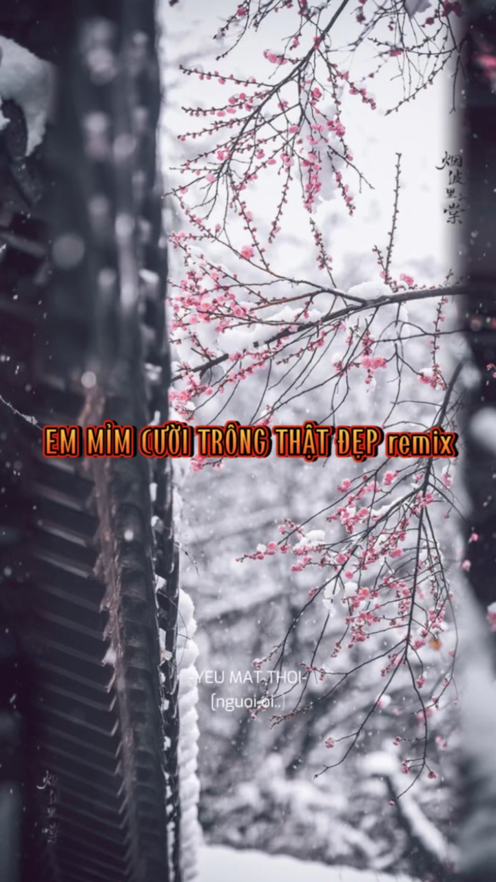 BEAT 4 ẢNH XỊN