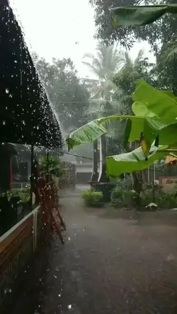 Rain