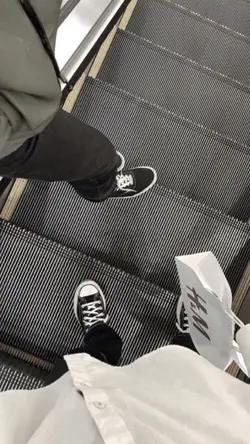 1 video + 13 foto