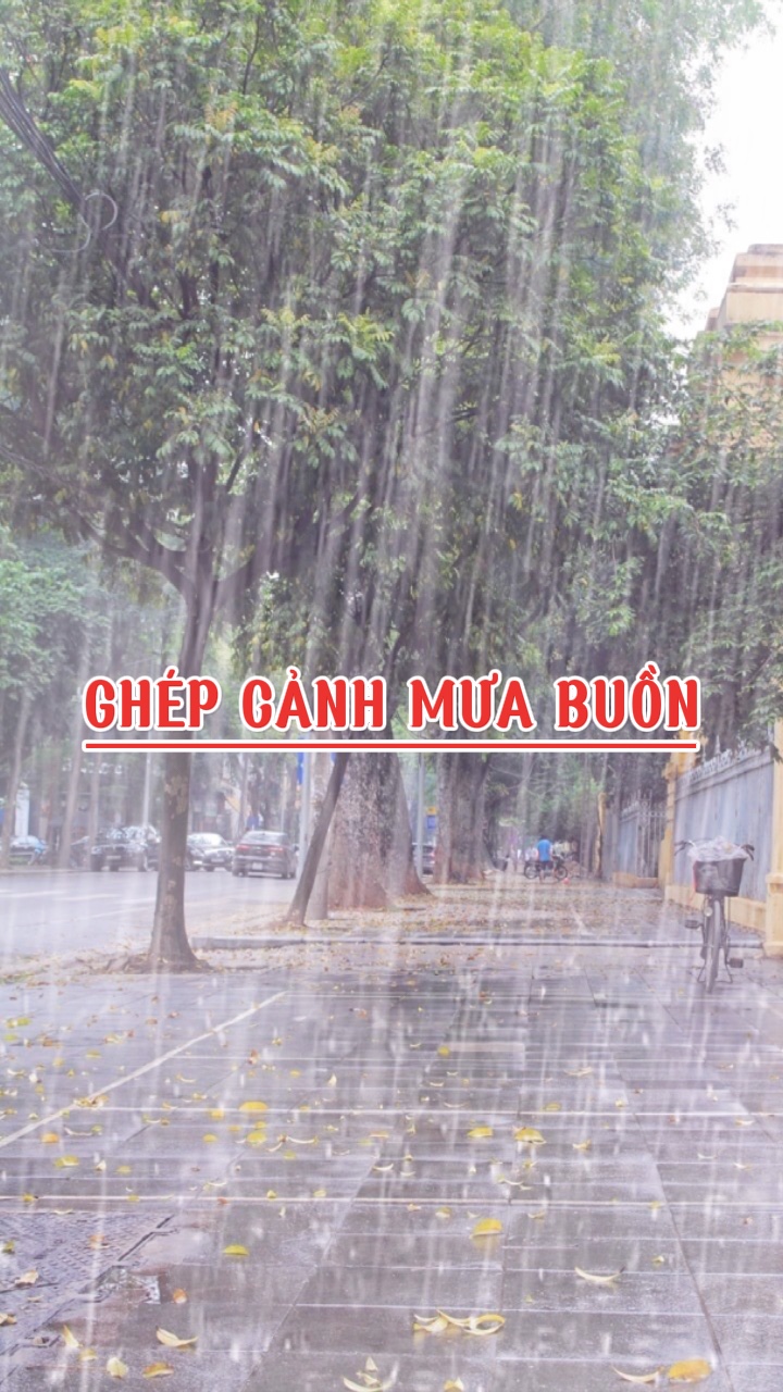 Ghép Cảnh Mưa Buản