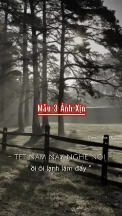 mẫu 3 ảnh xịn