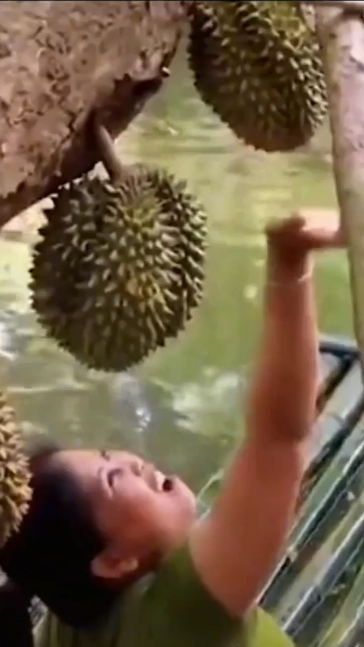 meme durian