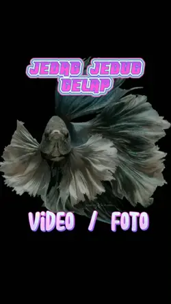 jj gelap cupang