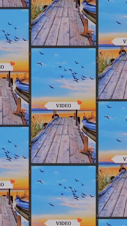Videoxphoto