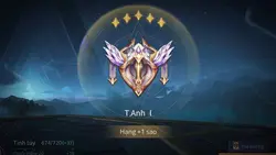 Mẫu show rank