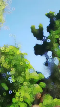 Cinematic Slowmo