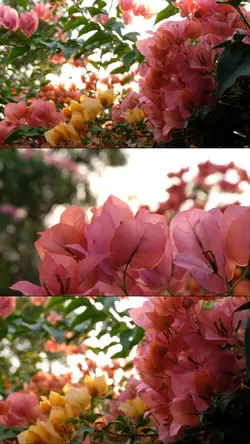 3ช่องวิดีโอแนวนอน