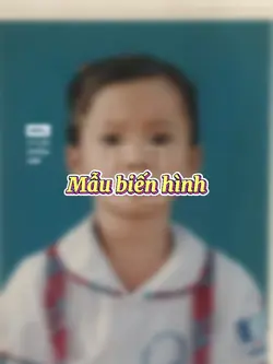 Mẫu biến hình