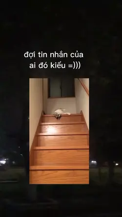 mẫu thay đc chữ 