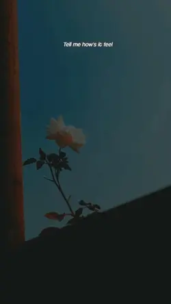 Without Me