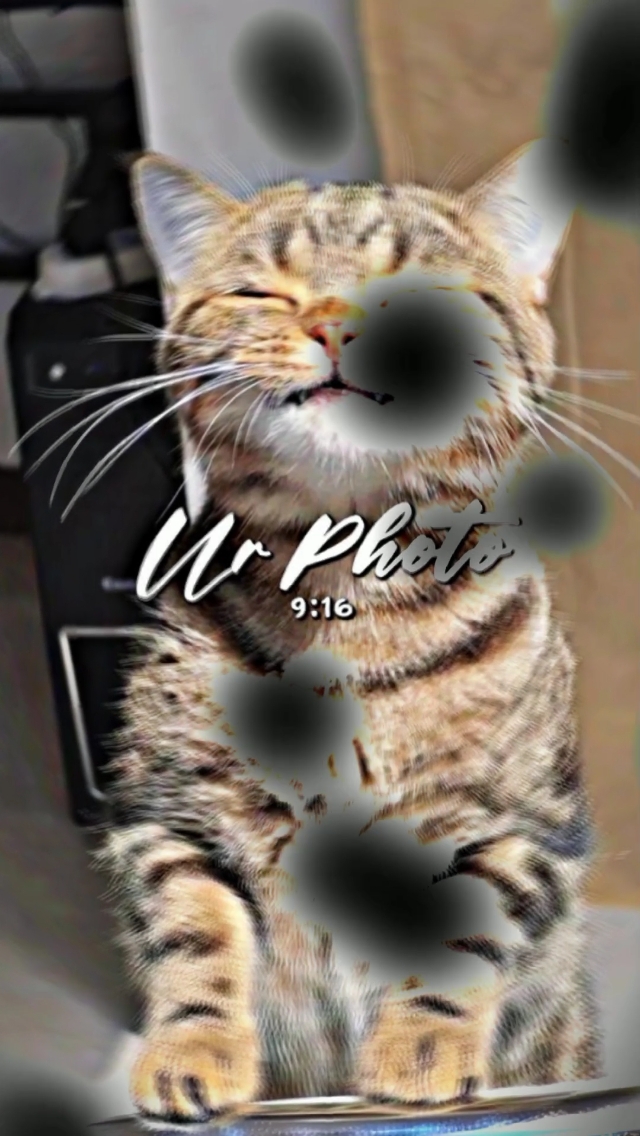 Dj uncover x pokemon