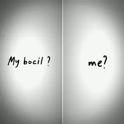 With my bocil