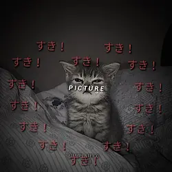 Suki Suki